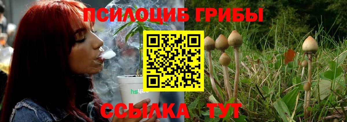 Псилоцибиновые грибы Psilocybine cubensis  Вход с VPN  Пыть-Ях 